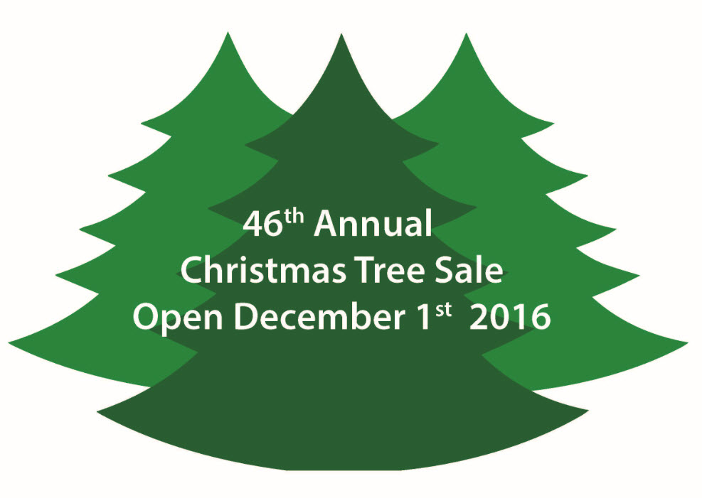 Gloucester Lions Club Annual Christmas Tree Sale 2016